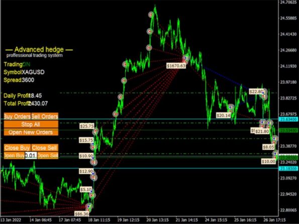ADVANCED HEDGE - 1