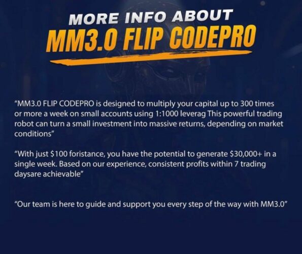 MM FLIP CODEPRO - 1