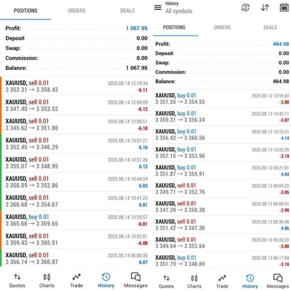 SAVIOUR GOLD TRADING EA (1)