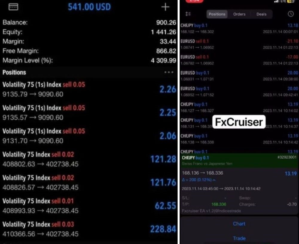 FX CRUISER - 1