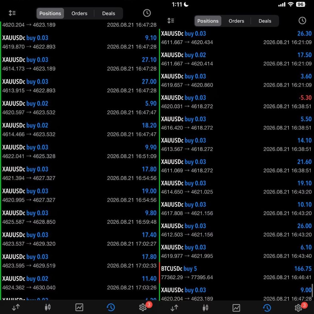 ALGO SCALPER GAIN (2)