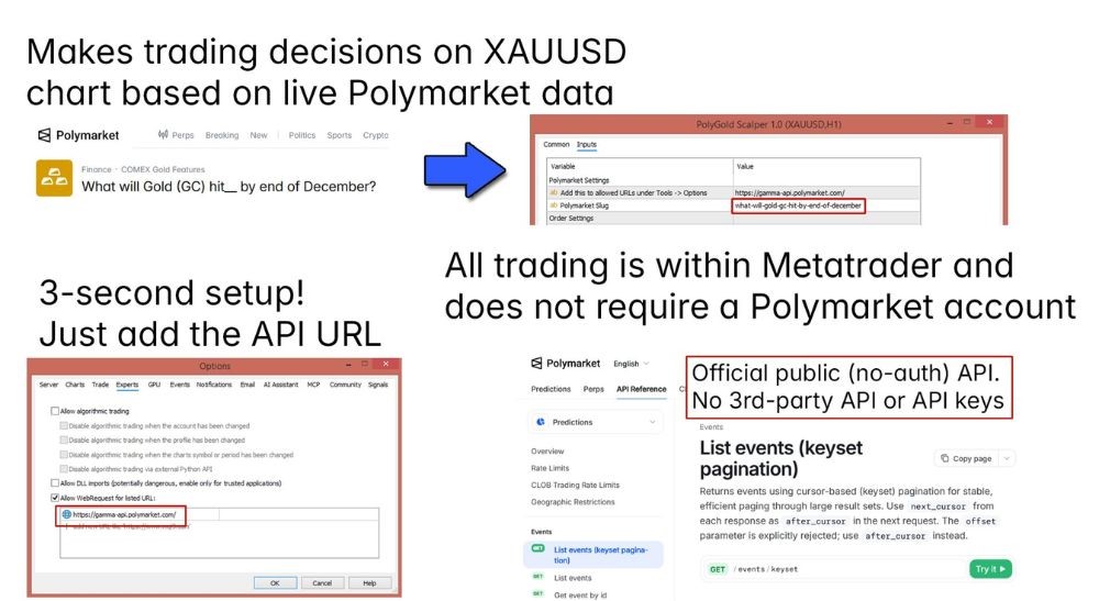 POLYGOLD SCALPER - 1